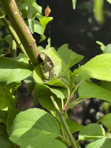 自己実践とは面倒臭い事も含めてです 08